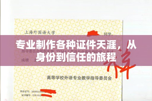 东莞专业制作各种证件天涯，从身份到信任的旅程
