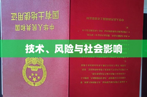 东莞技术、风险与社会影响
