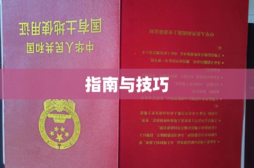 东莞指南与技巧